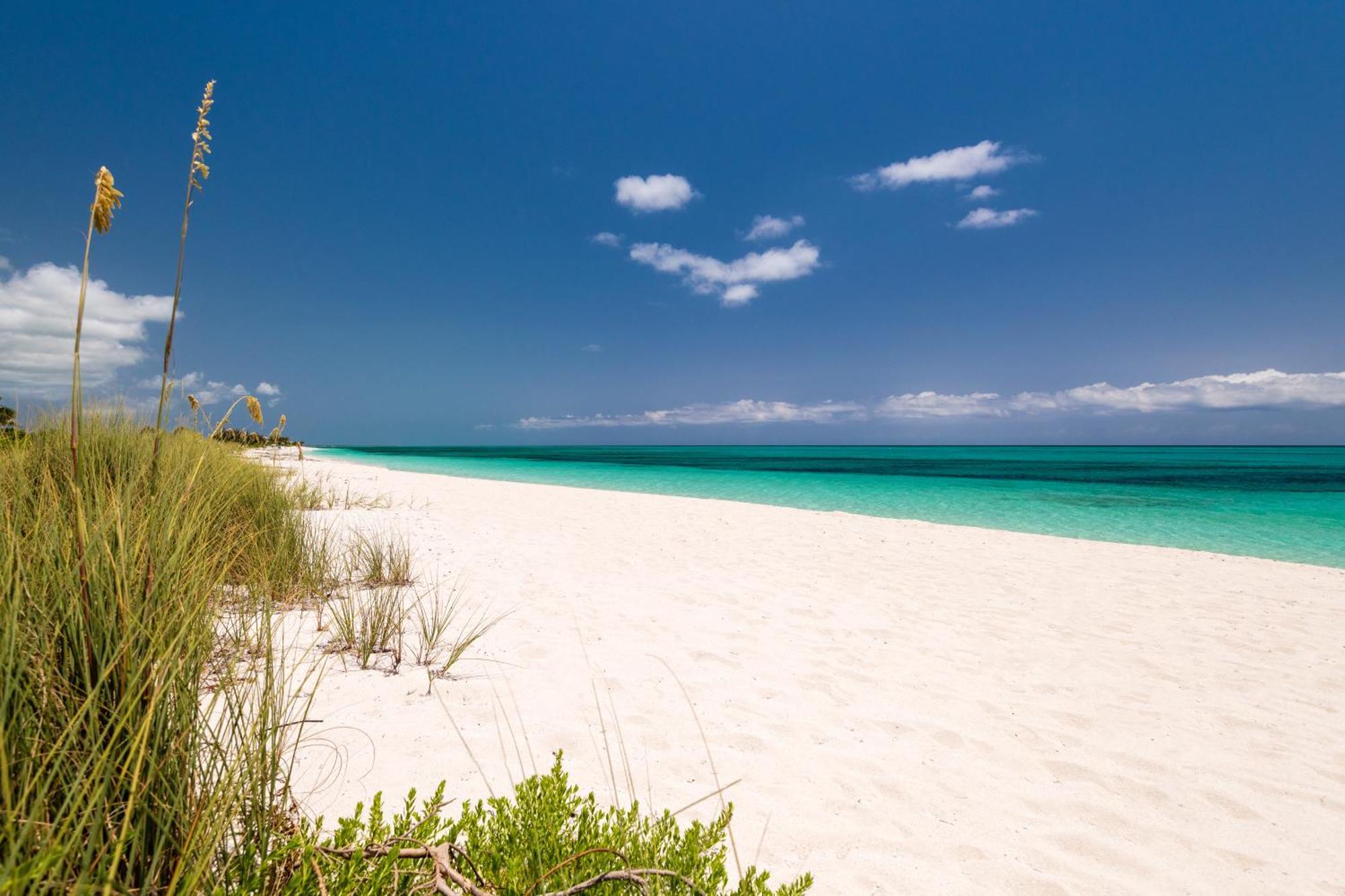 Grace Bay Club Hotel Værelse billede